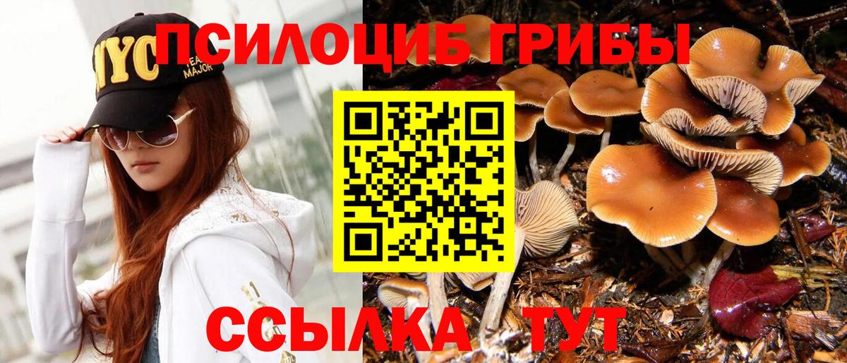 Псилоцибиновые грибы Psilocybine cubensis  Вход с VPN  Усолье-Сибирское 